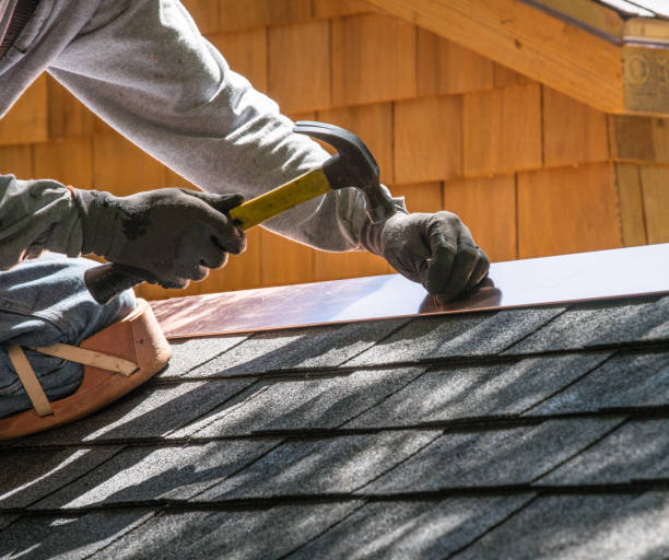 Best Roof Gutter Cleaning  in Bridgeville, PA